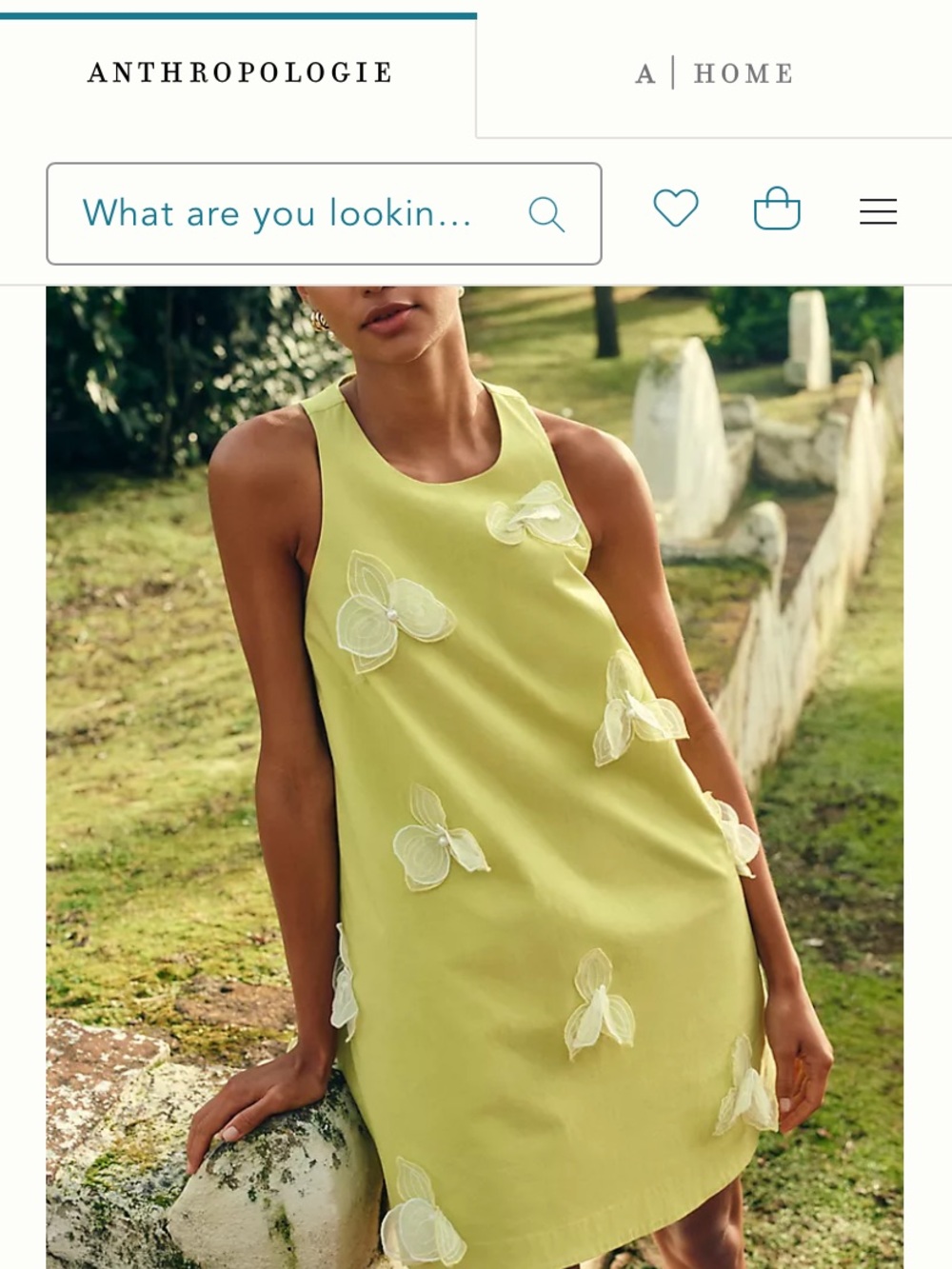 Anthropologie Lemon-Lime Floral Appliqué Shift Dress